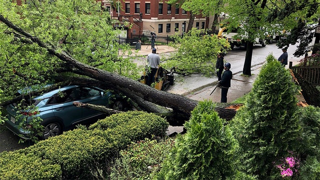 shadyside-tree-down-2.jpg 