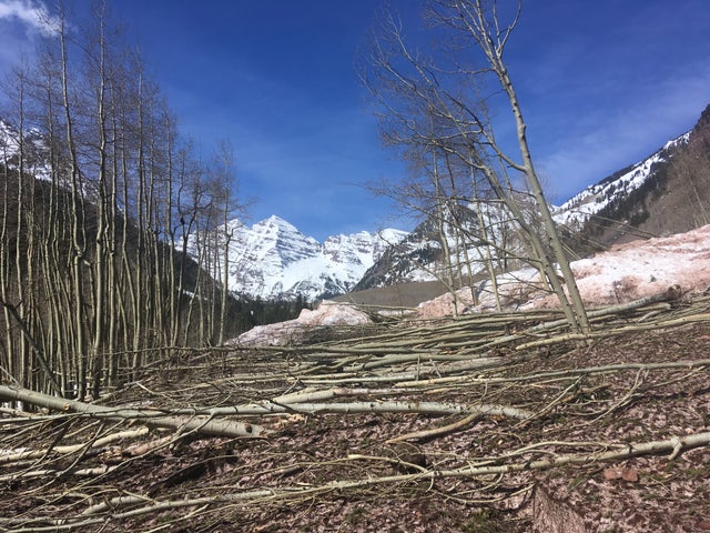 Maroon Bells 3 (USFS Shelly Grail) 