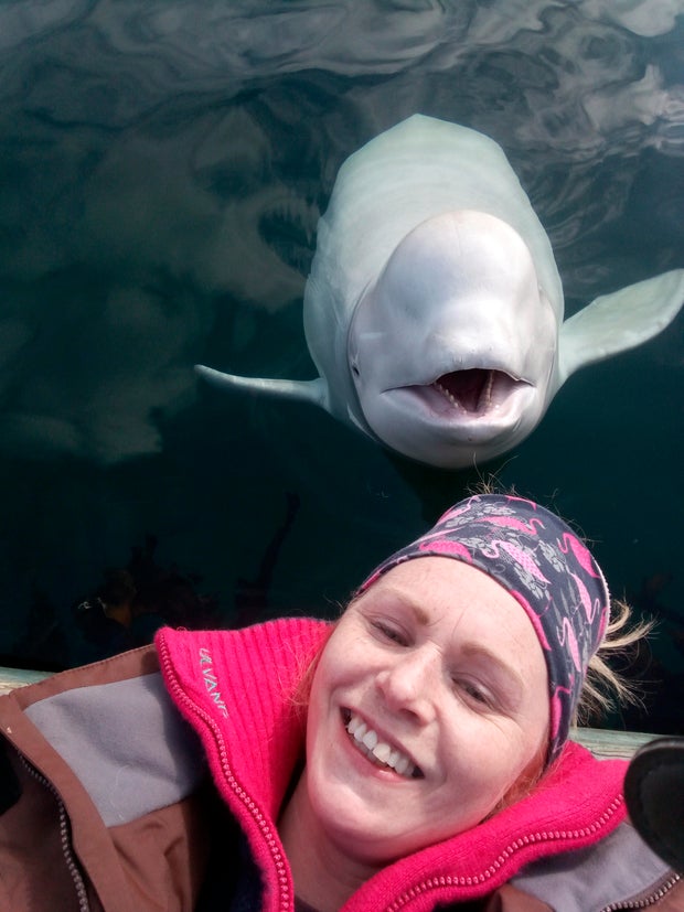 In this photo taken on Monday, April 29, 2019, Linn Saether poses with a beluga whale, days after a fisherman removed a harness with a mount for camera from the mammal, in Tufjord, Norway