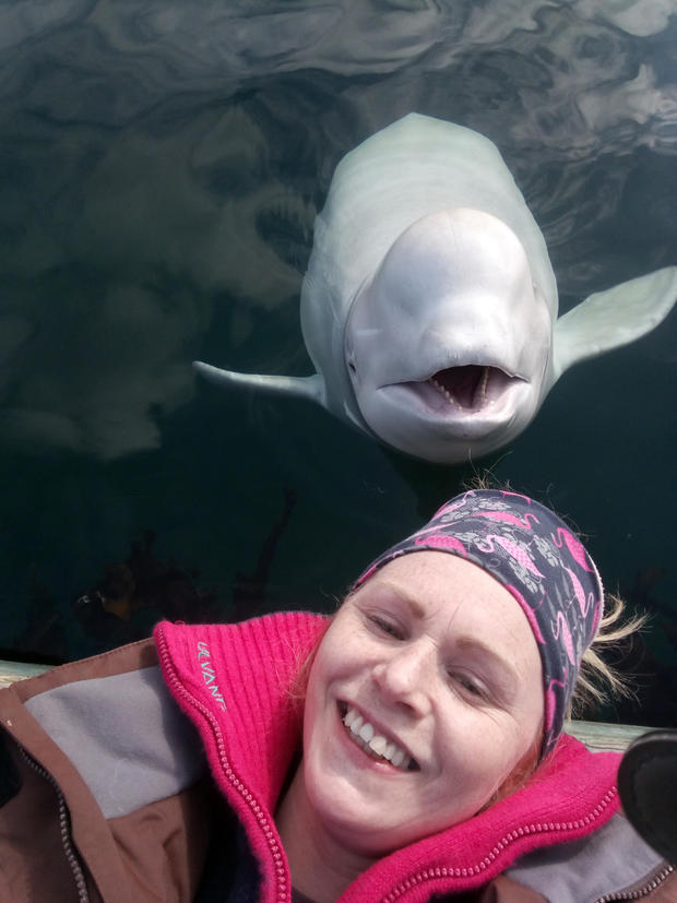 Norway Beluga Whale 
