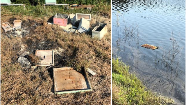 beehives-destroyed-near-houston.png 