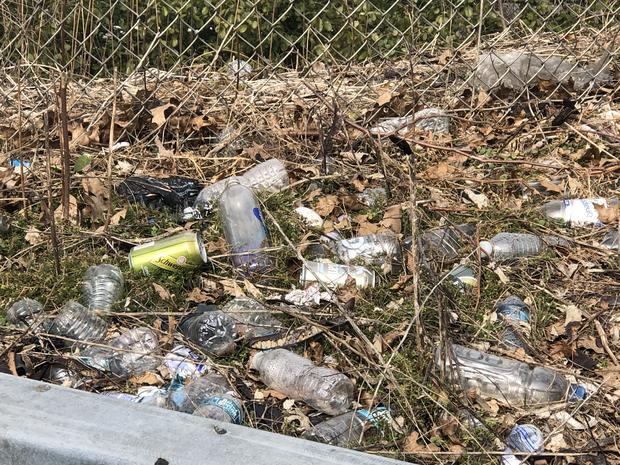 Litter Along The Long Island Expressway Service Road 