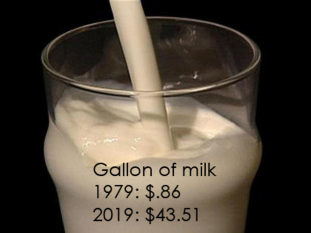1 Gallon of Milk 