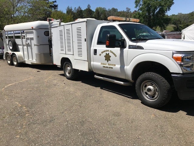 El Dorado County Authorities Seize Hundreds Of Animals In Animal