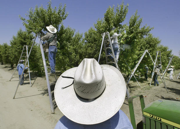 California Pesticide Rule Tightening 