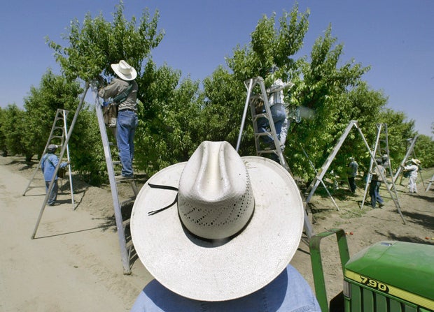 California Pesticide Rule Tightening