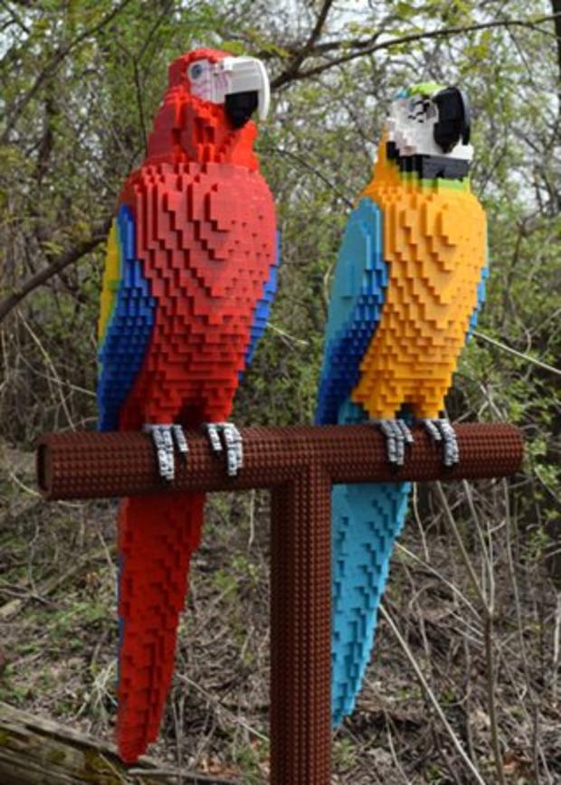 Brick-Safari-Macaws-web 