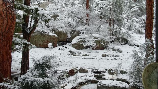 May Snow In Evergreen 
