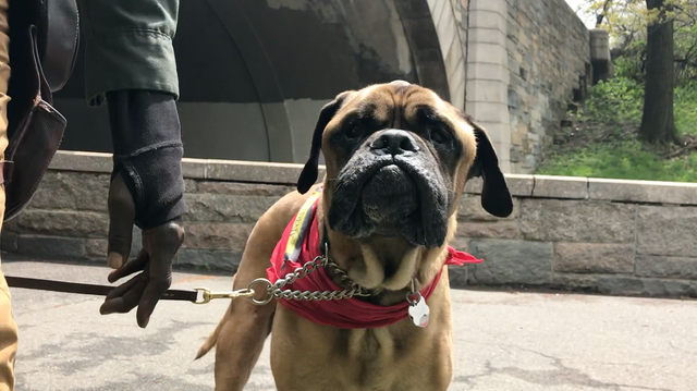 Screen Shot 2019-05-10 at 11.41.18 AM 