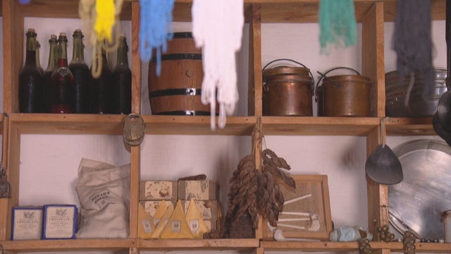 KIT CARSON DESCENDANT 10PKG_frame_437 