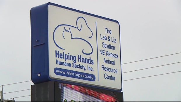 CATS ROAD TRIP 5PKG_frame_985 