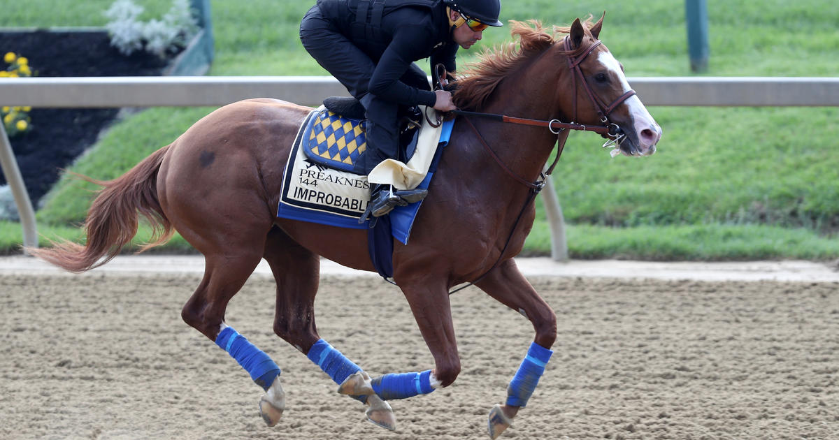 Baffert's Improbable Remains Favorite To Win The Preakness CBS Baltimore