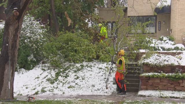 SNOWY TREES DOWN 12SOT.transfer_frame_1296 