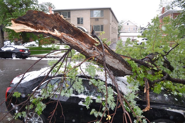 May Snow Storm Breaks Branches