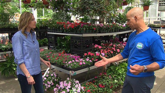 gardeningwroblewski.jpg 