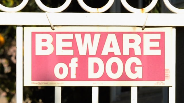 beware-of-dog.jpg 