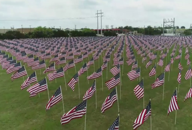 A Field of Flags in Granbury 