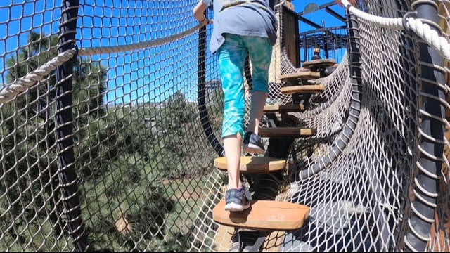 ADVENTURE FOREST 5PKG_frame_300 