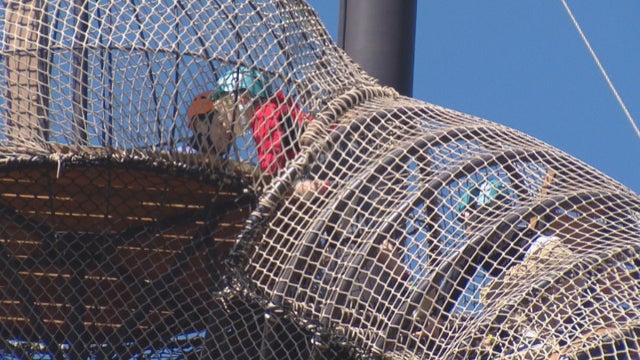 ADVENTURE FOREST 5PKG_frame_1381 