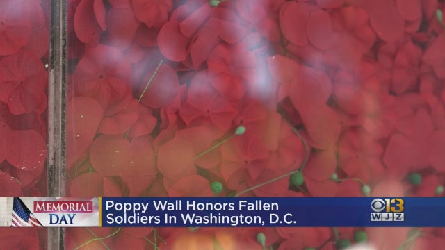 0525poppy.jpg 