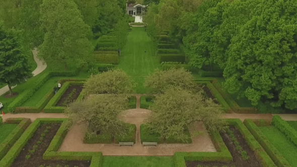 boxwoods.png 