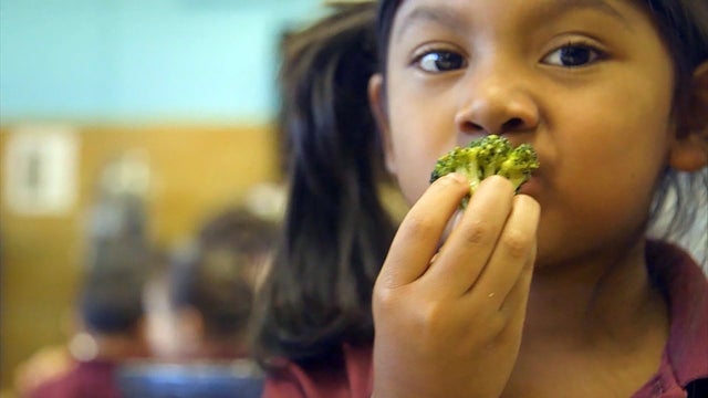 schoollunch2.jpg 