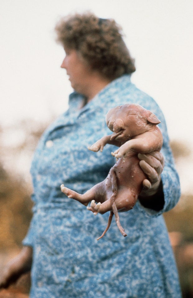 A woman holds, 02 October 1989 in the Tc