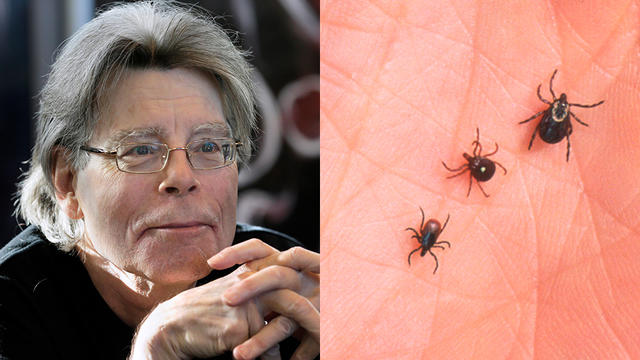 stephen-king-ticks.jpg 