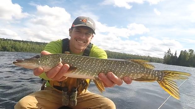get paid to fish for northern pike credit jamie leary 