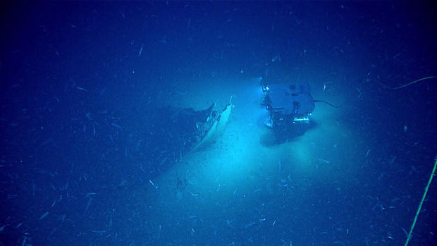The remote-operated vehicle Deep Discoverer approaches the bow of a shipwreck on the bottom of the Gulf of Mexico on May 16, 2019. 