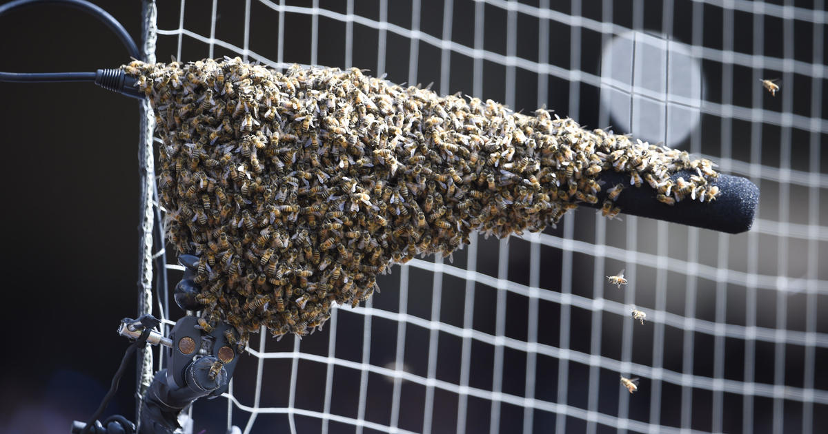 Bees Opening Day Postponed, Play Doubleheader Saturday