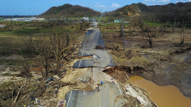 s110093493.jpg 