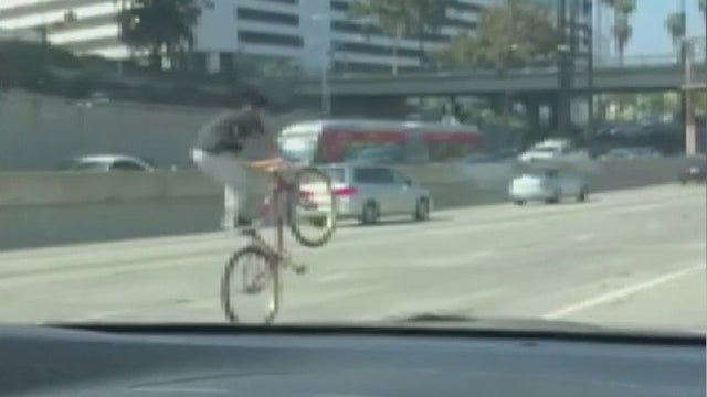 bicycles-110-freeway.jpg 
