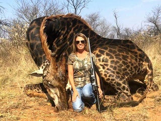 Bred simply to be shot Bred simply to be shot