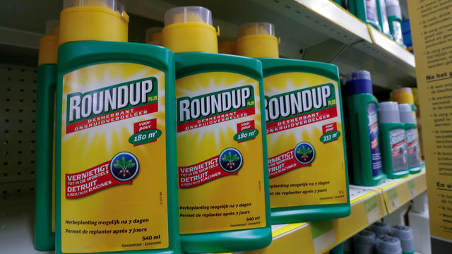 FILE PHOTO: Monsanto's Roundup weedkiller atomizers are displayed for sale at a garden shop near Brussels 