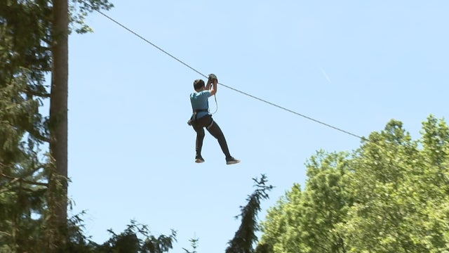 elmwood-park-zoo-zip-line.jpg 