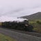 Building the Transcontinental Railroad