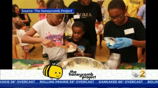 the-honeycomb-project.jpg 