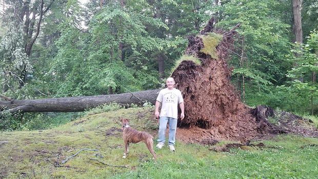 downed-tree-parker 