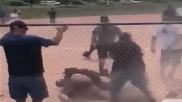 baseball brawl (2) 