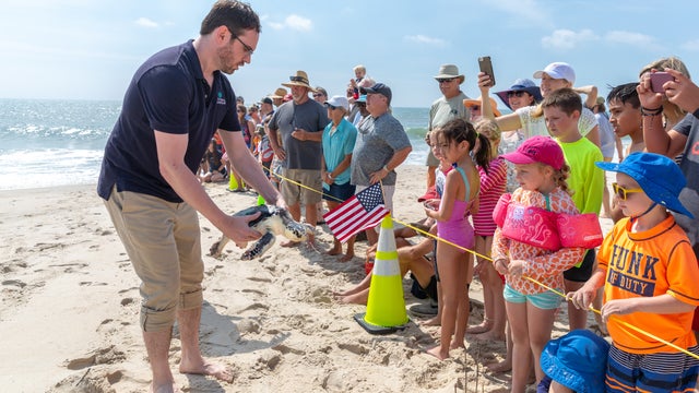 20190620turtlerelease37.jpg 