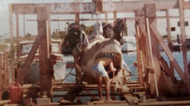 jaws-photo-1.jpg 