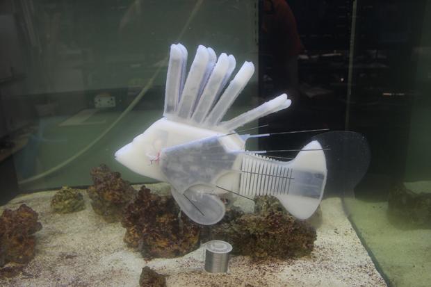 Robot fish 