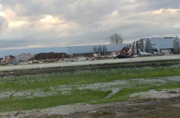 Turkey Barn Destroyed 