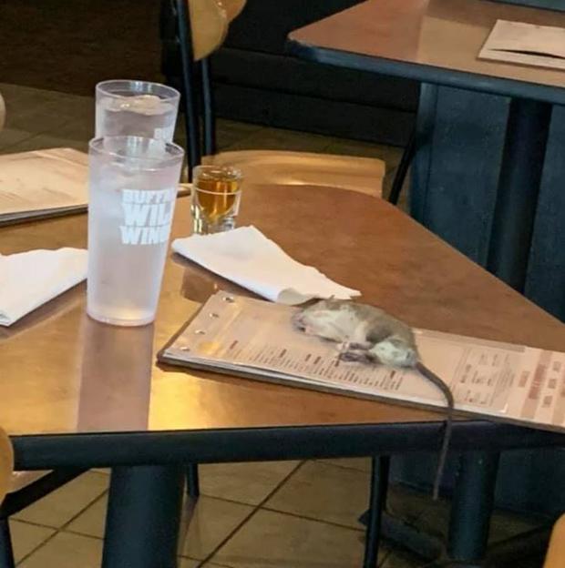 Photos Show Rat Falling From Ceiling Of Buffalo Wild Wings In Westchester 