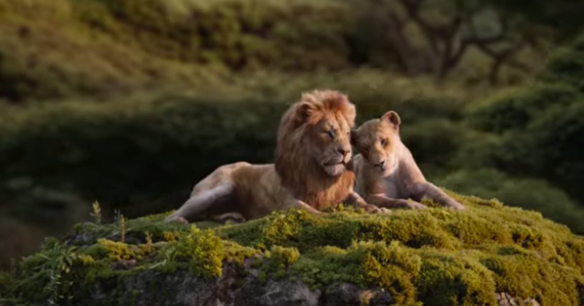 The Lion King 2019 Beyoncé And Donald Glover Sing Can You Feel The Love Tonight In The 