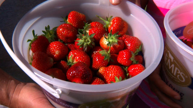 strawberries-1.jpg 