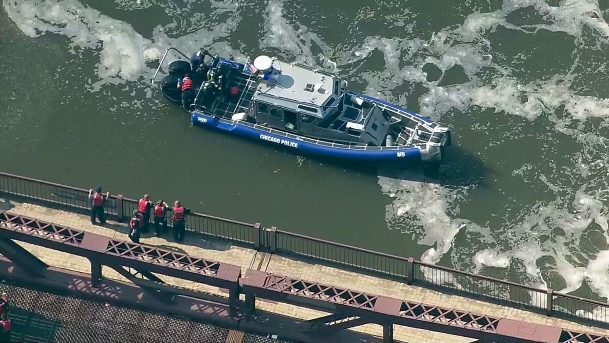 Missing Man's Body Found In Chicago River Near Webster Avenue Bridge ...