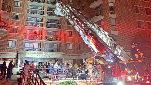 bfd.jpg 