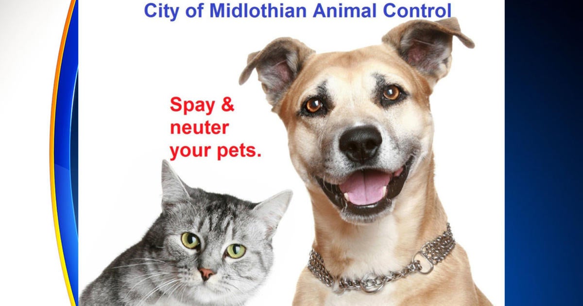 Midlothian Animal Shelter Suspends Adoptions And Surrenders Due To ...